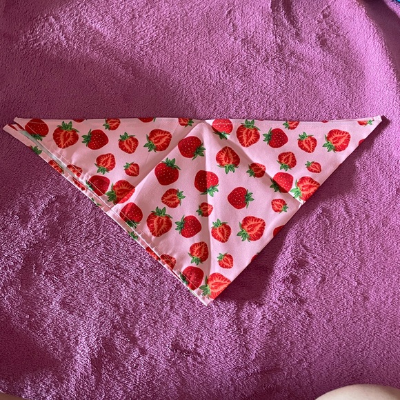 Dog accessories Each $8 - Picture 5 of 5